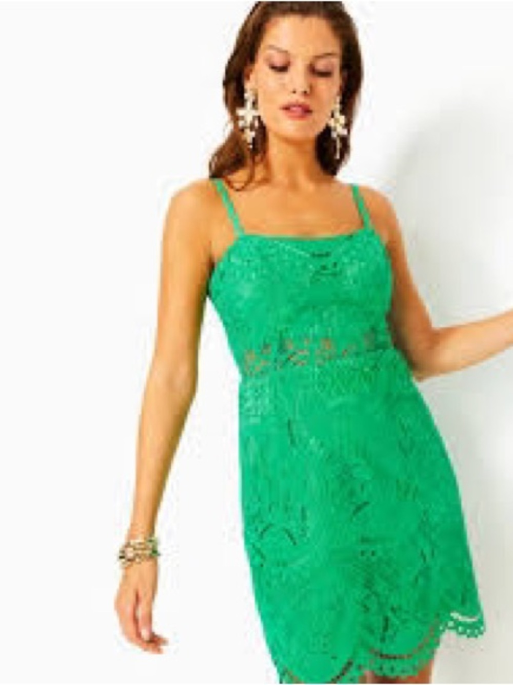NWT Lilly Pulitzer Risette Lace Dress - Size 10 - Picture 7 of 9